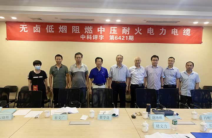 无卤低烟阻燃中压耐火电力电缆 anli.jpg